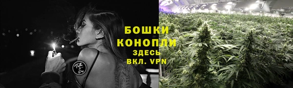 spice Нязепетровск