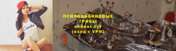 spice Нязепетровск