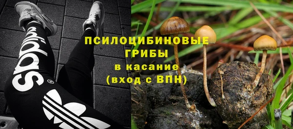 spice Нязепетровск