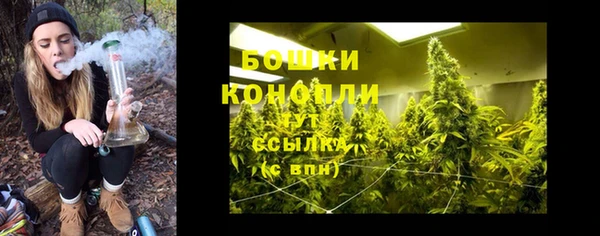 spice Нязепетровск