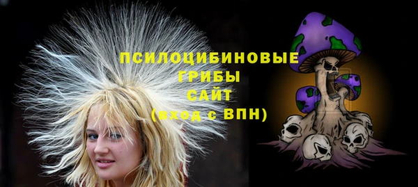 спайс Няндома
